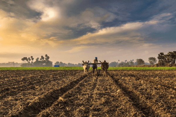 Agriculture and Irrigation Systems