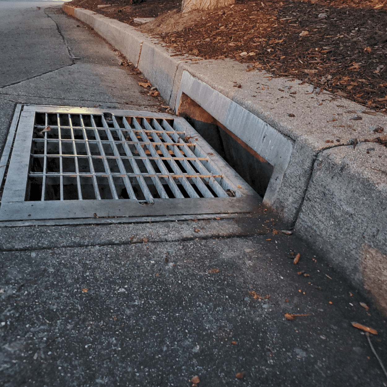 Drain completely